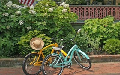 Know Before You Go: Where to Bicycle in Cape May