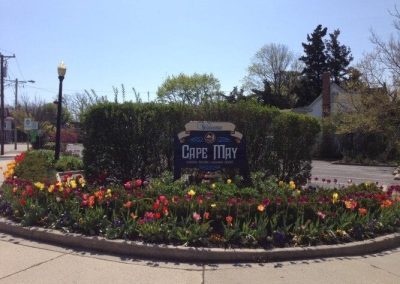 Cape May Spring Tulips