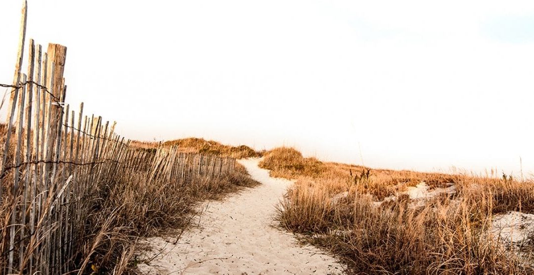 The Best Walking Trails in Cape May