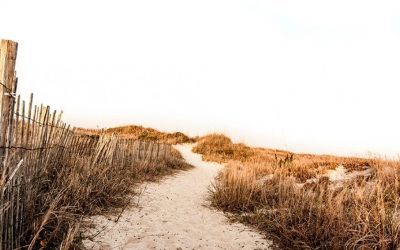 The Best Walking Trails in Cape May