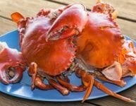 Cape May Craft Beer & Crab Festival